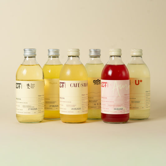 Kombucha 6-Pack - Collabs Special Box